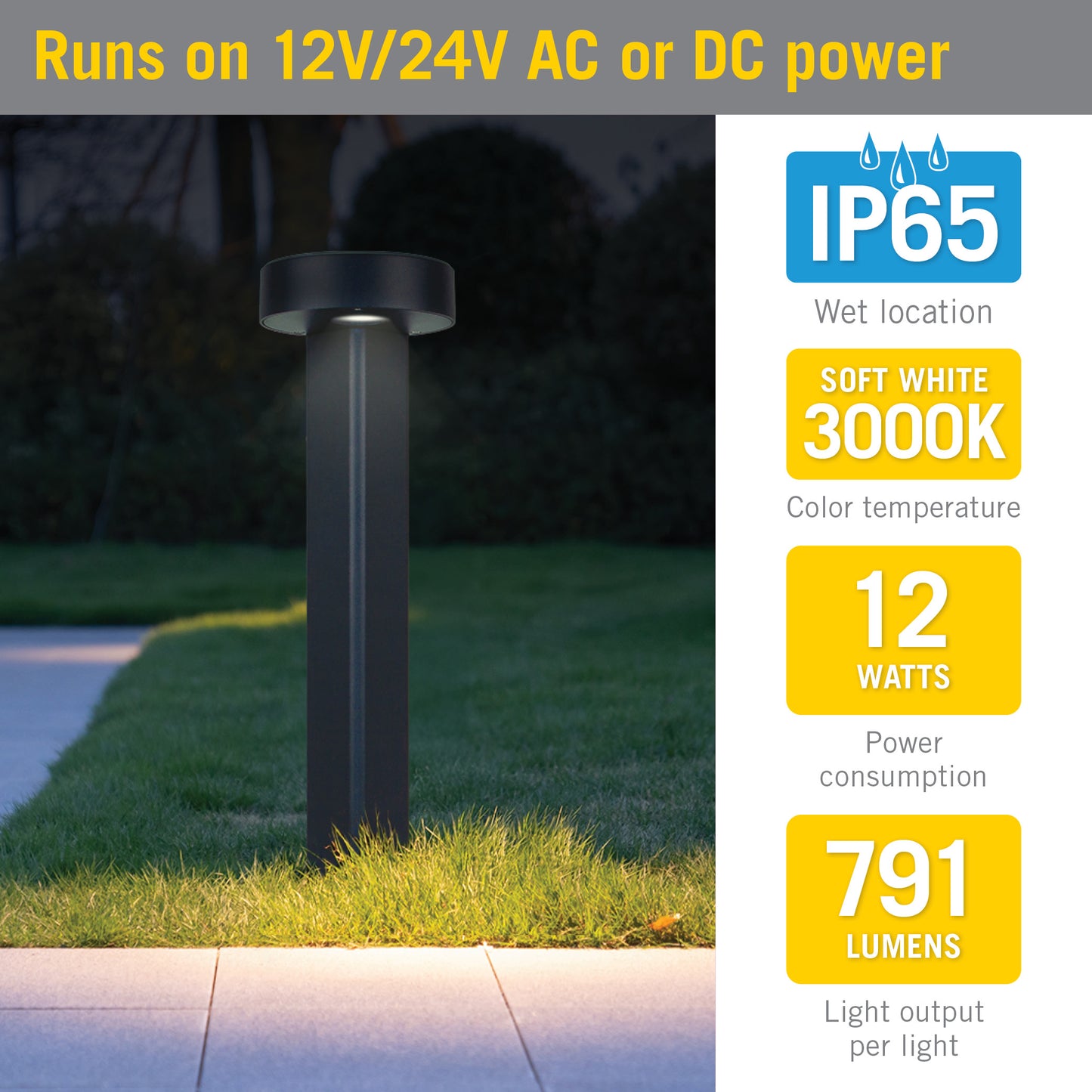 Teardrop Pathway LED Landscape Light