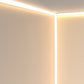 Neon LED Light Strips