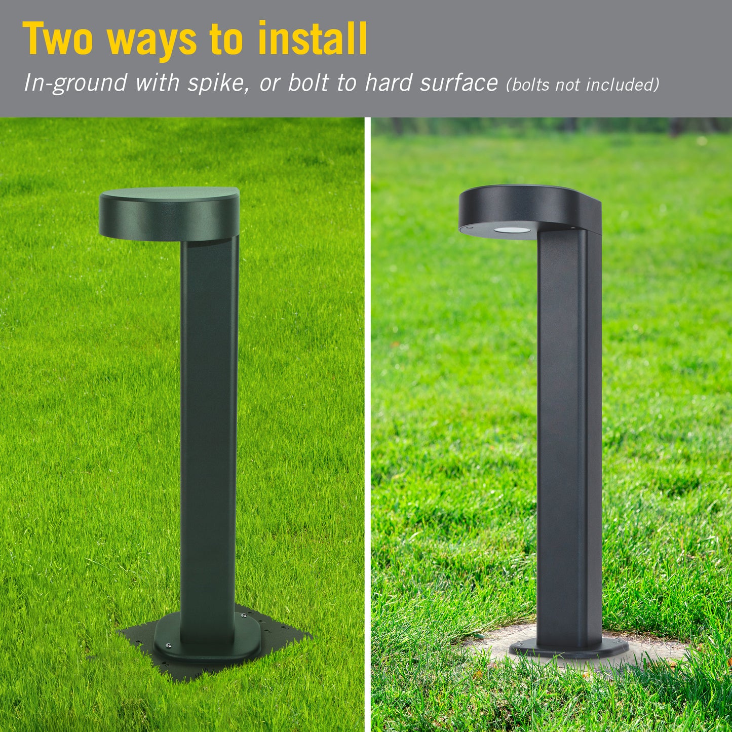 Teardrop Pathway LED Landscape Light