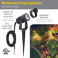 200 Lumens