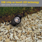 300 Lumens