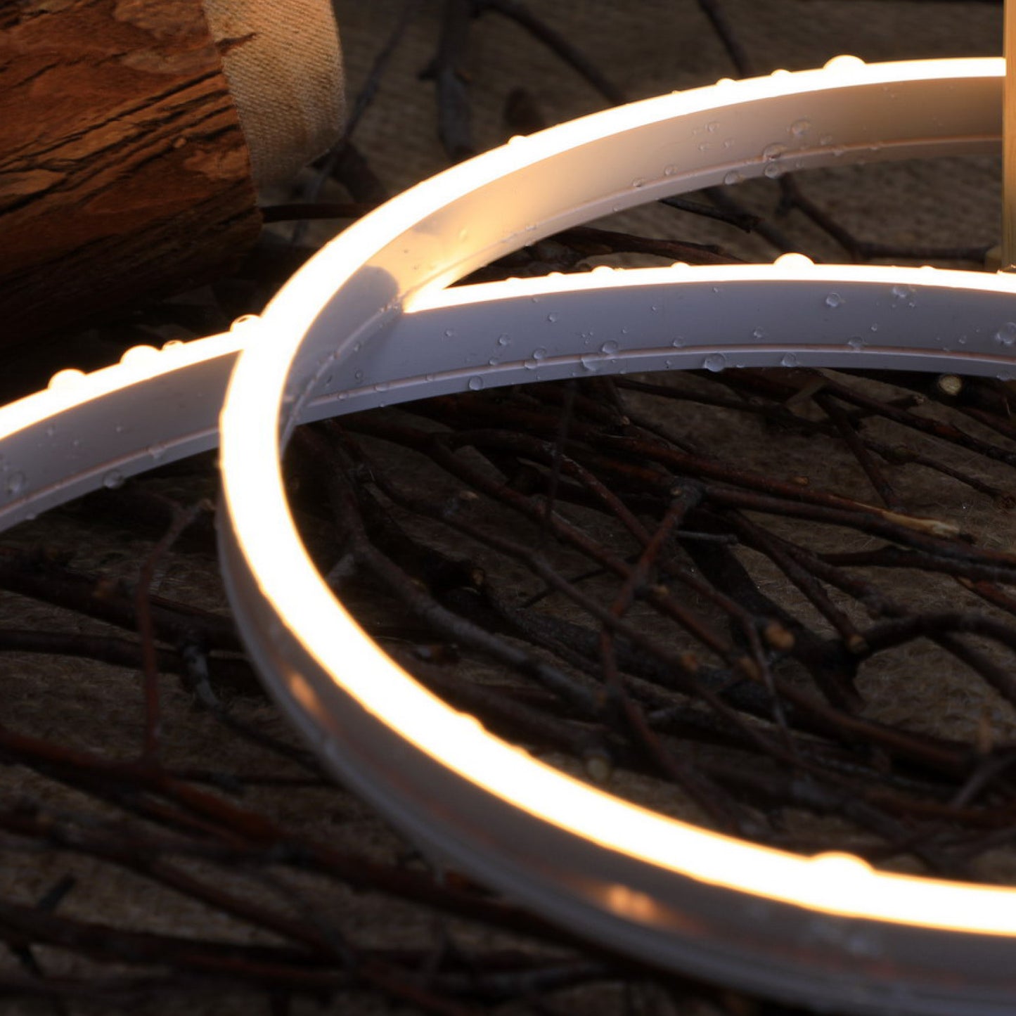 Neon LED Light Strips